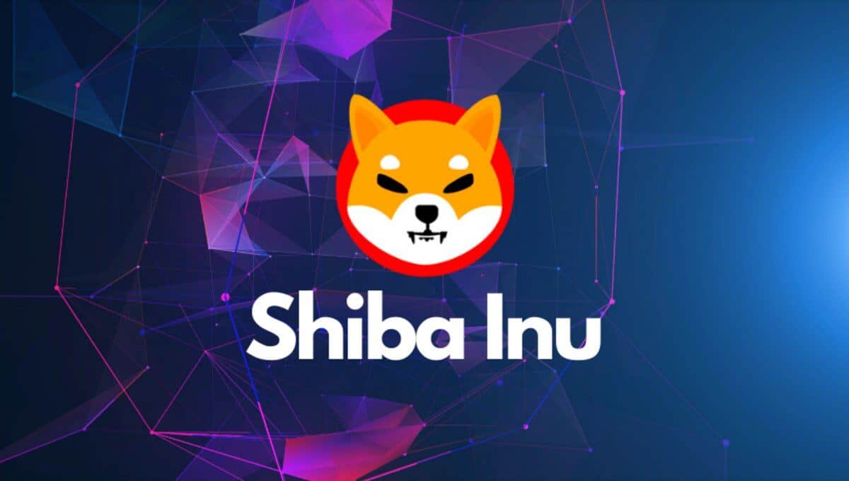 Shiba Inu: Инвестиционные стратегии для начинающих